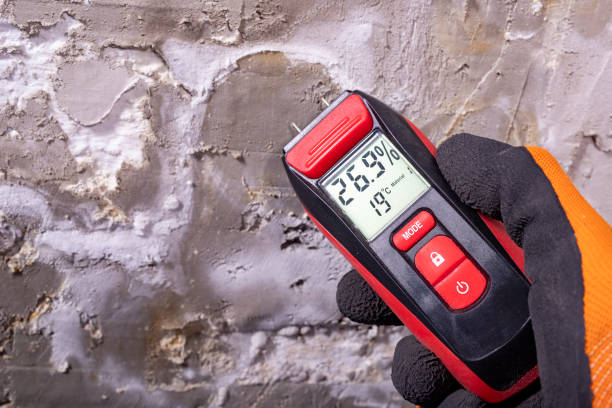 Best Mold Inspection  in Hayden, AL