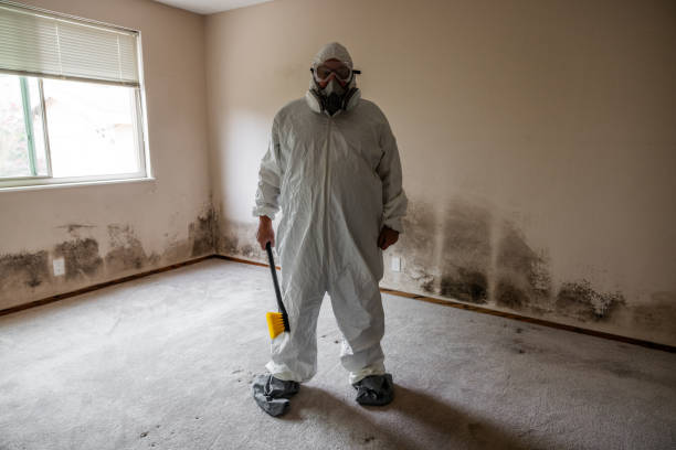 Best Office Mold Removal Services  in Hayden, AL